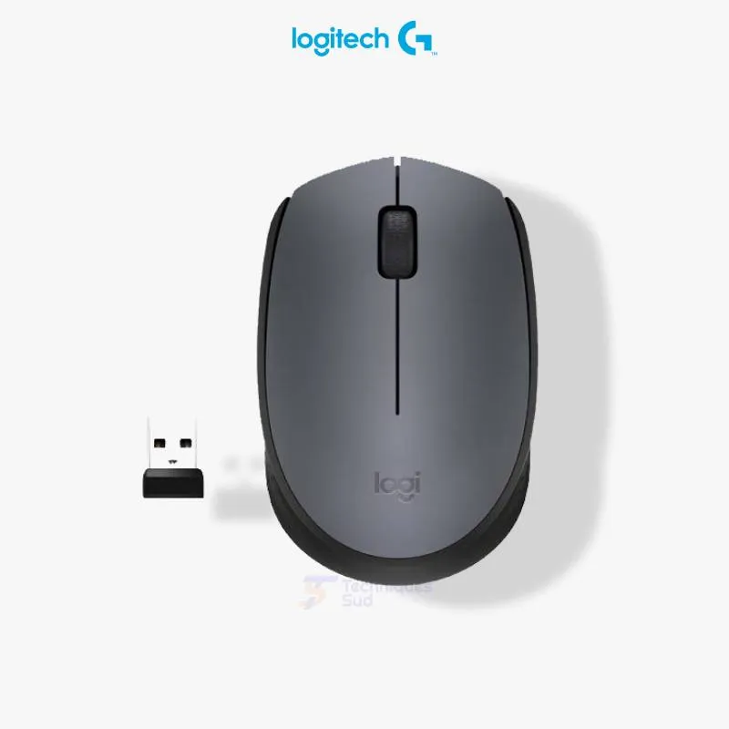 Souris Sans Fil LogiTech M170
